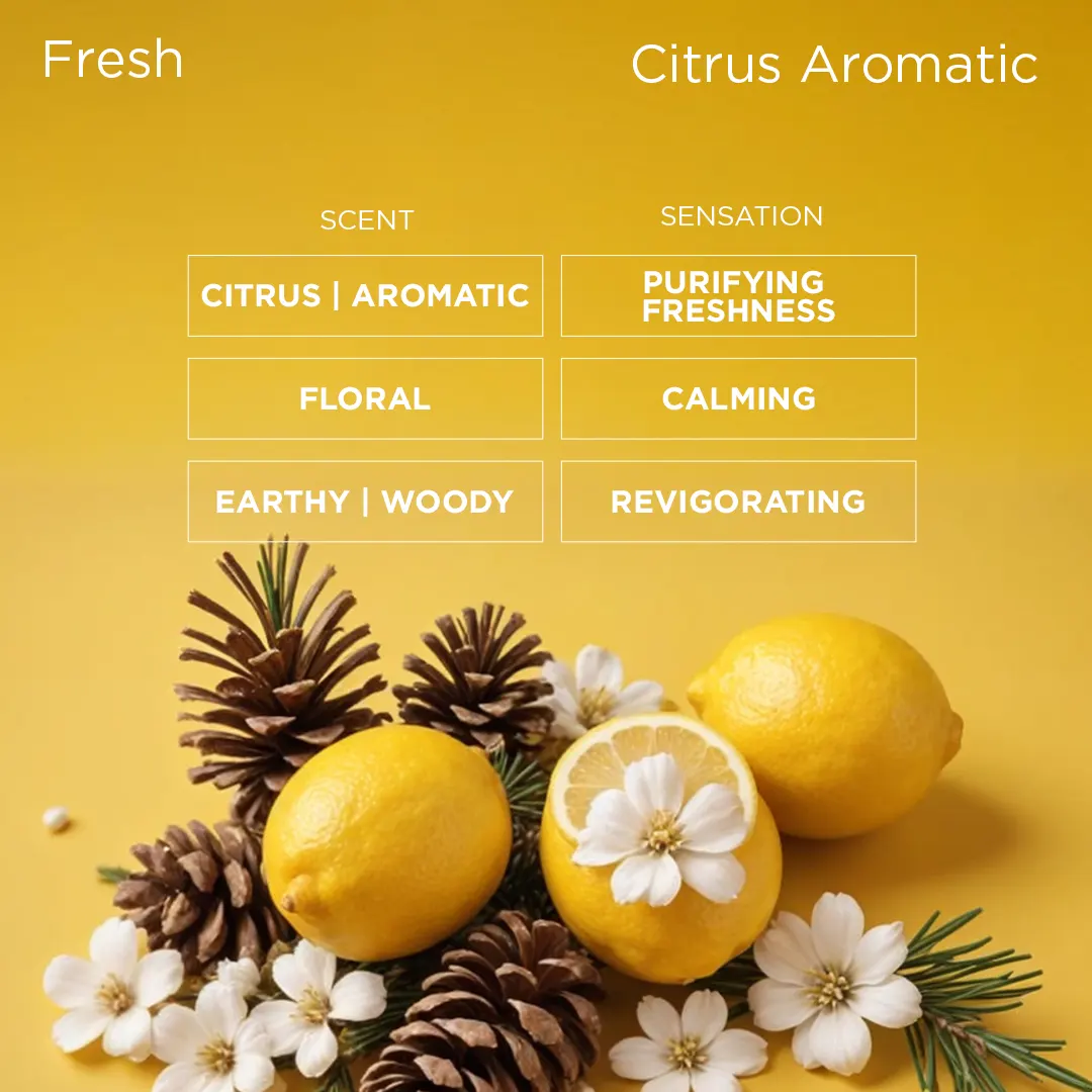 Guilt for Men - Image 3