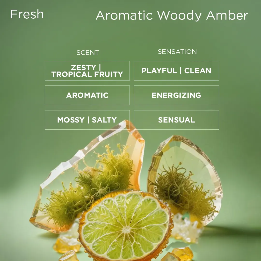 The Legend - Image 3